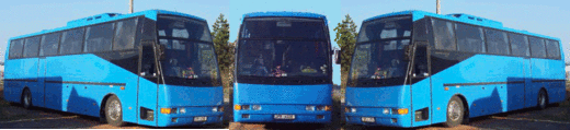motivpresličkanovy12.gif